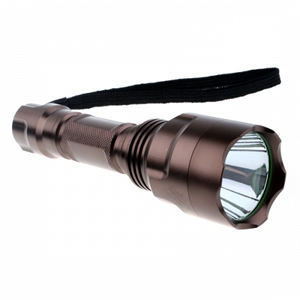 torches