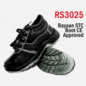 RS3025